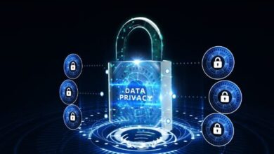 The Importance of Data Privacy in The Digital Age