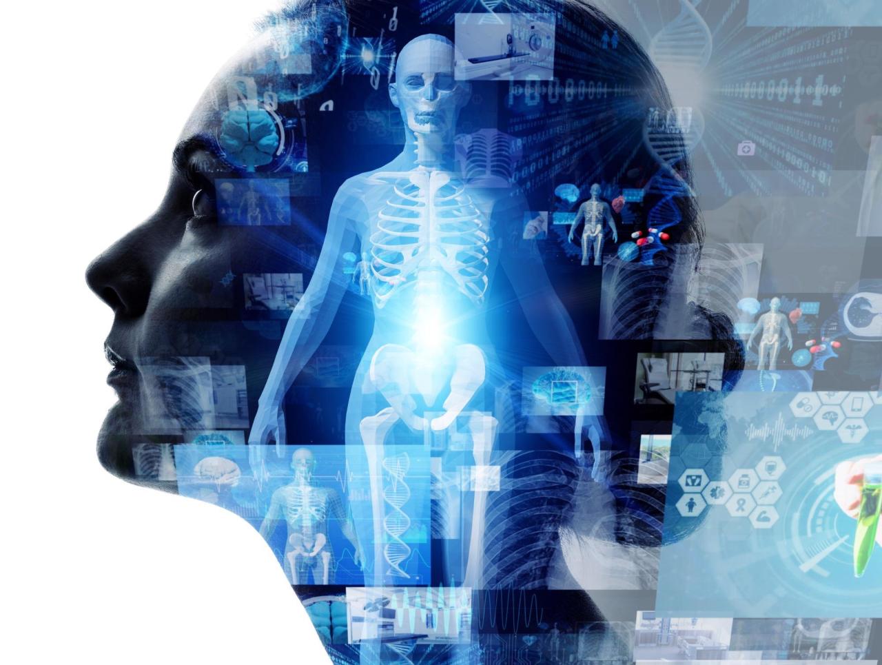 A digital twin for your immune system